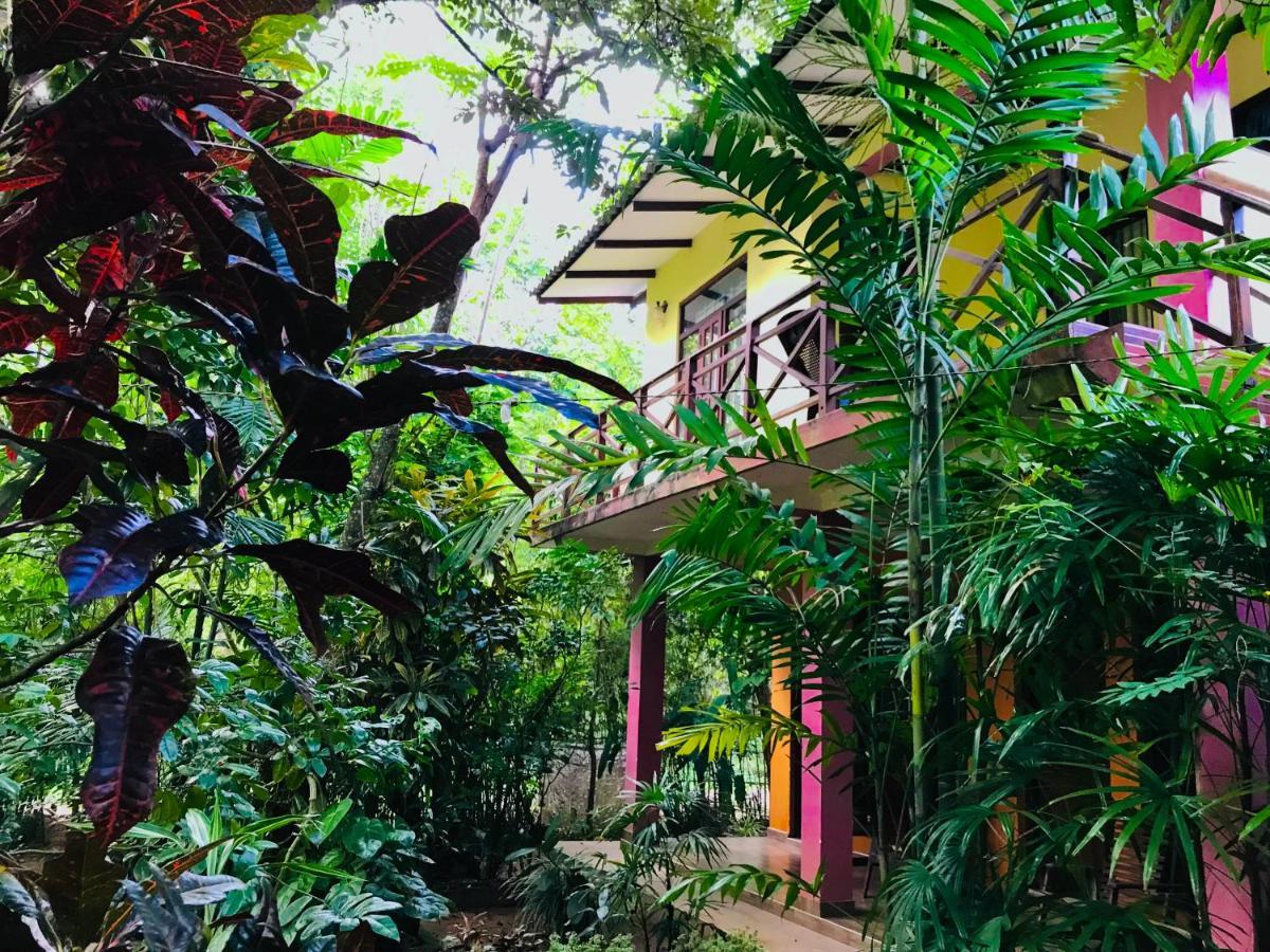 Gangadiya Lodge Sigirija Zewnętrze zdjęcie